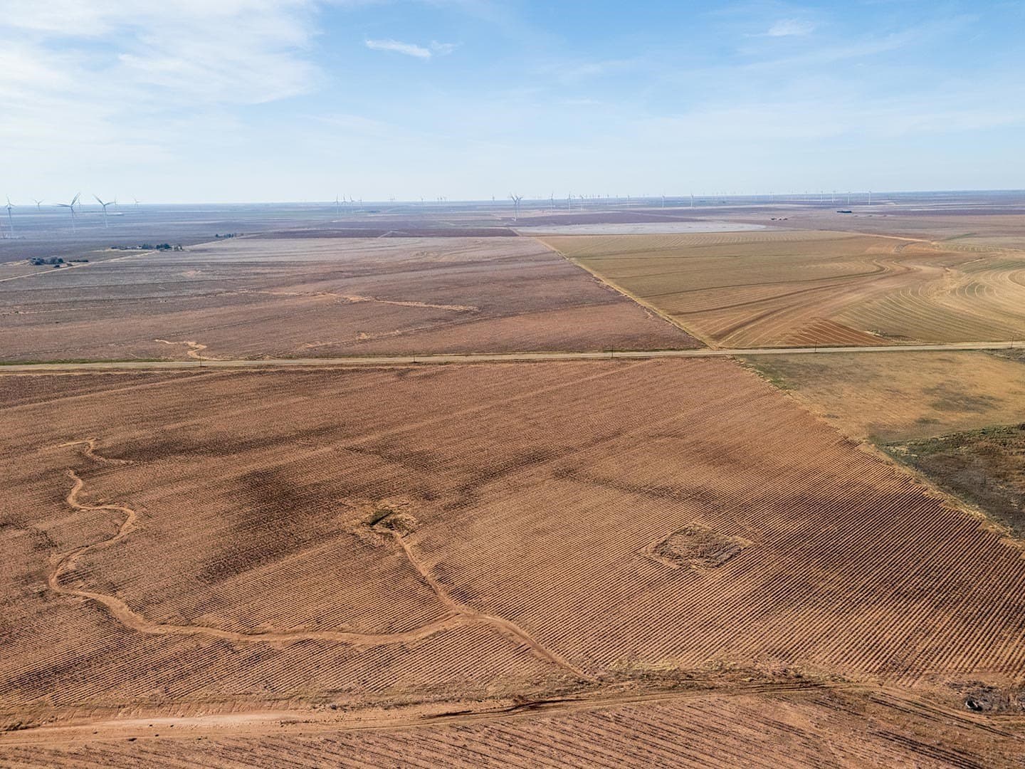 8 acres in Lynn County - photo 11