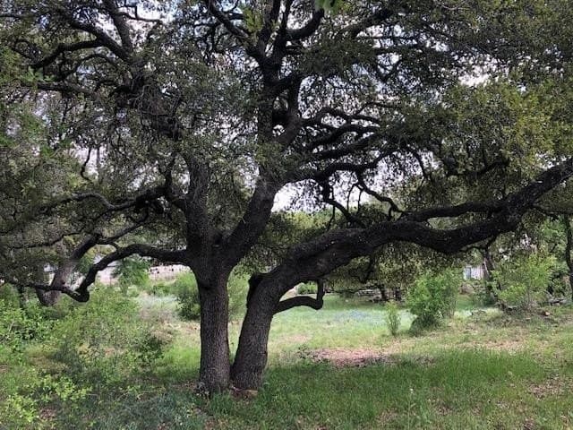 0.51 acres in Llano County - photo 4