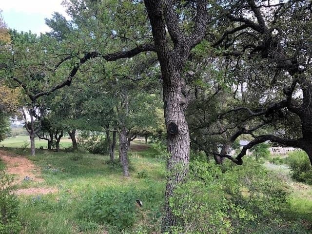 0.51 acres in Llano County - photo 2