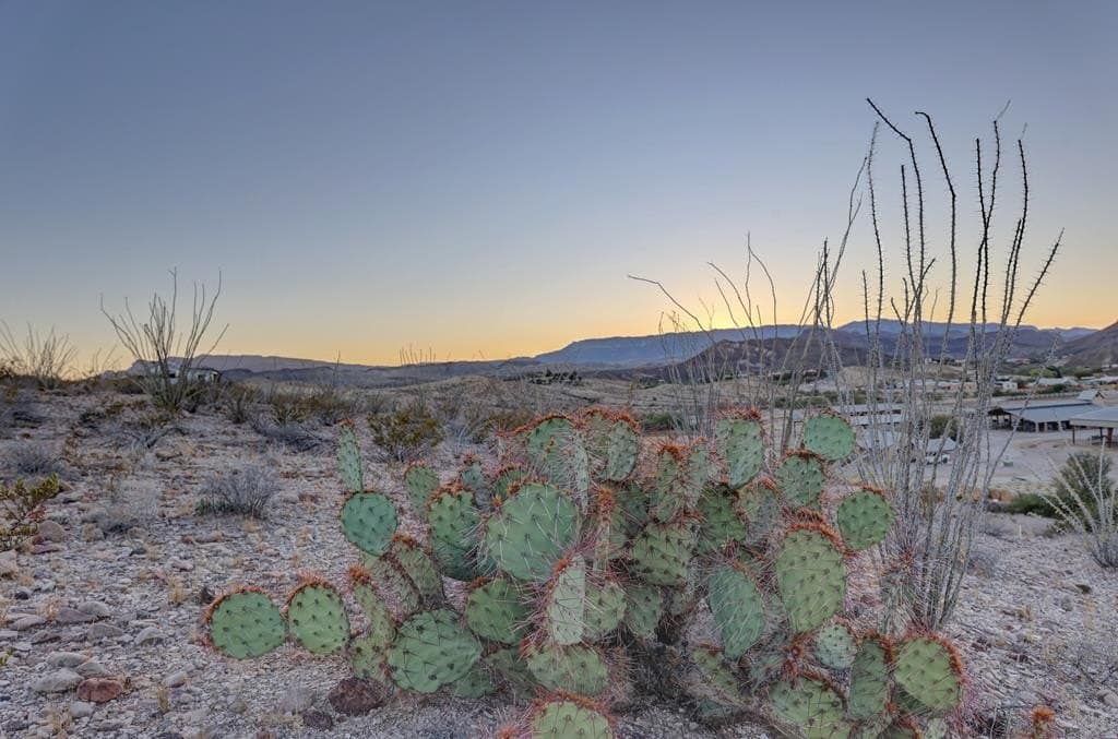 2.47 acres in Brewster County - photo 12