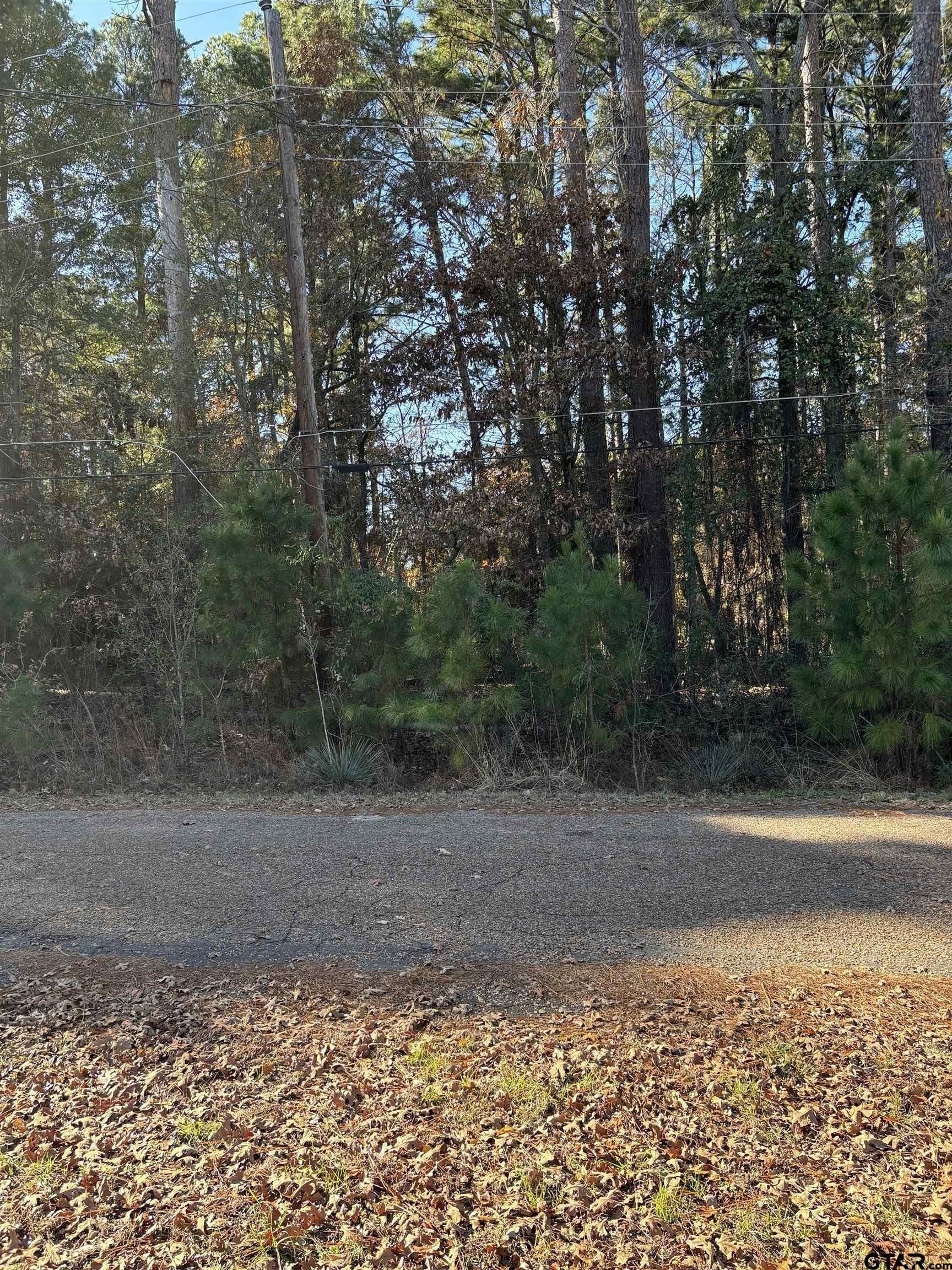 0.21 acres in Van Zandt County - photo 2