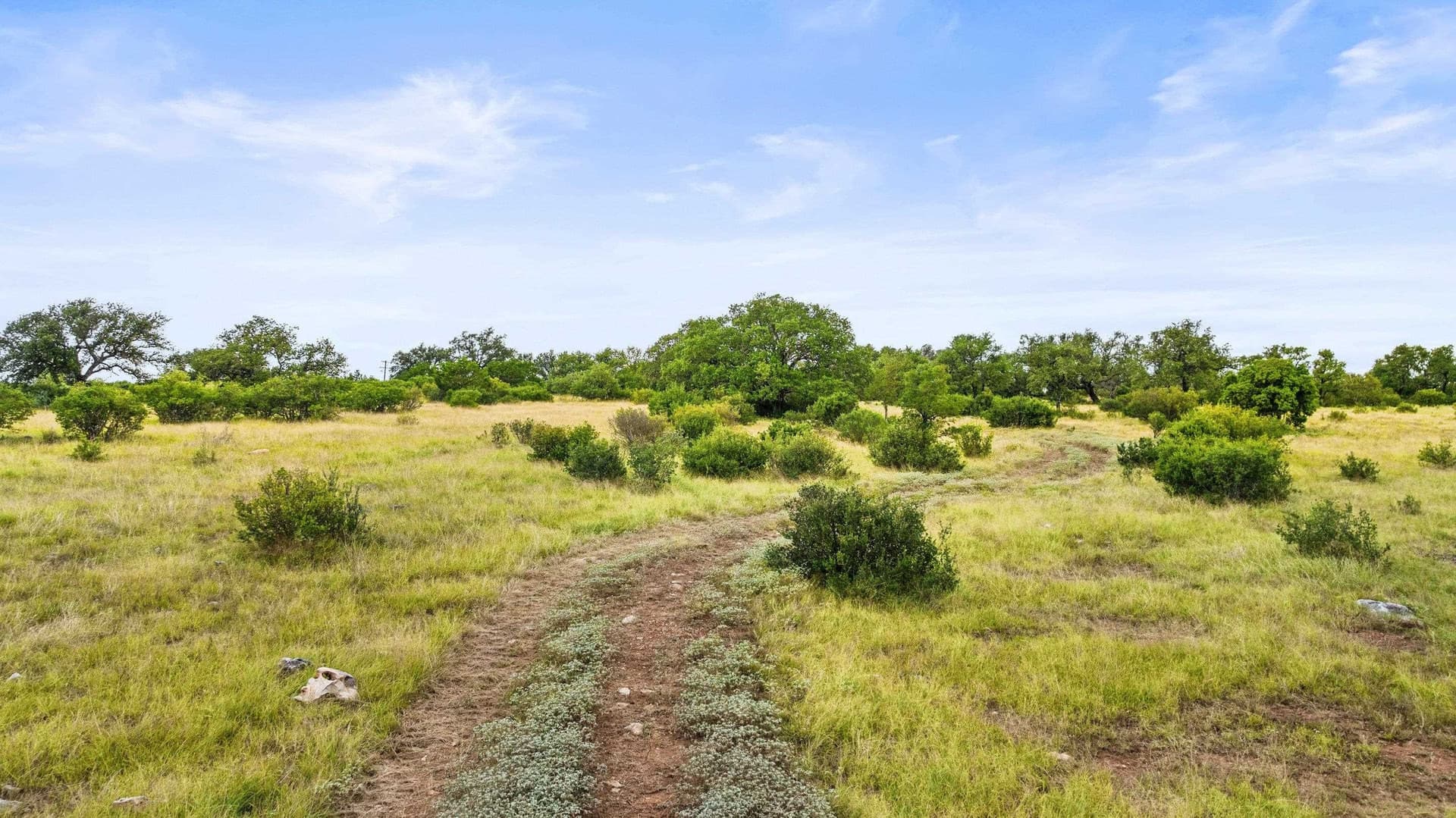 5 acres in Blanco County - photo 11