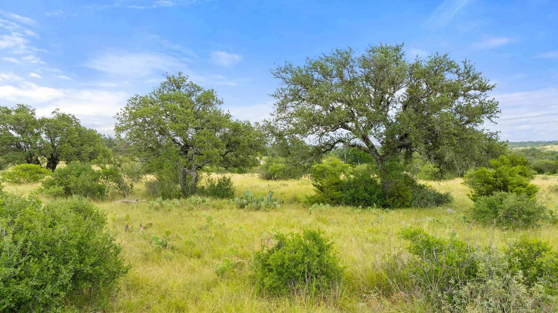 5 acres in Blanco County - photo 25