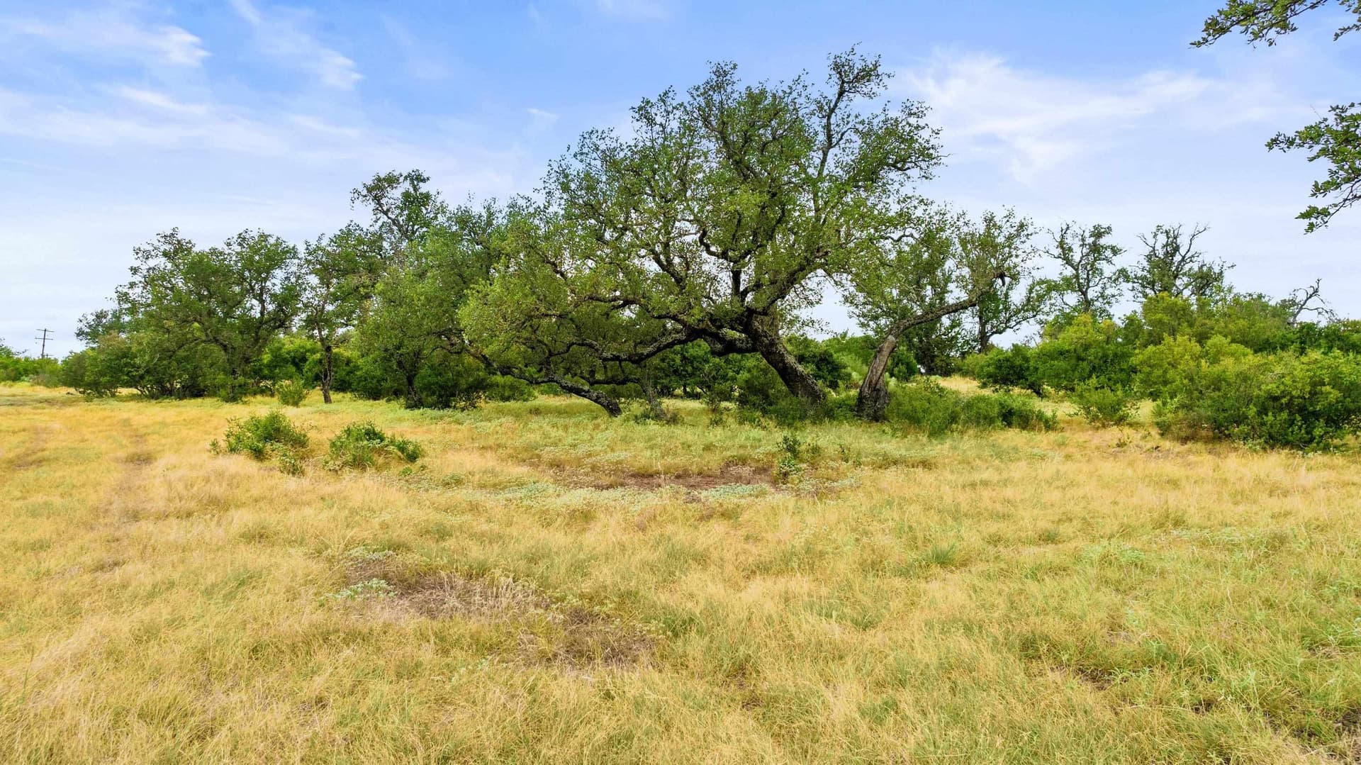 5 acres in Blanco County - photo 15