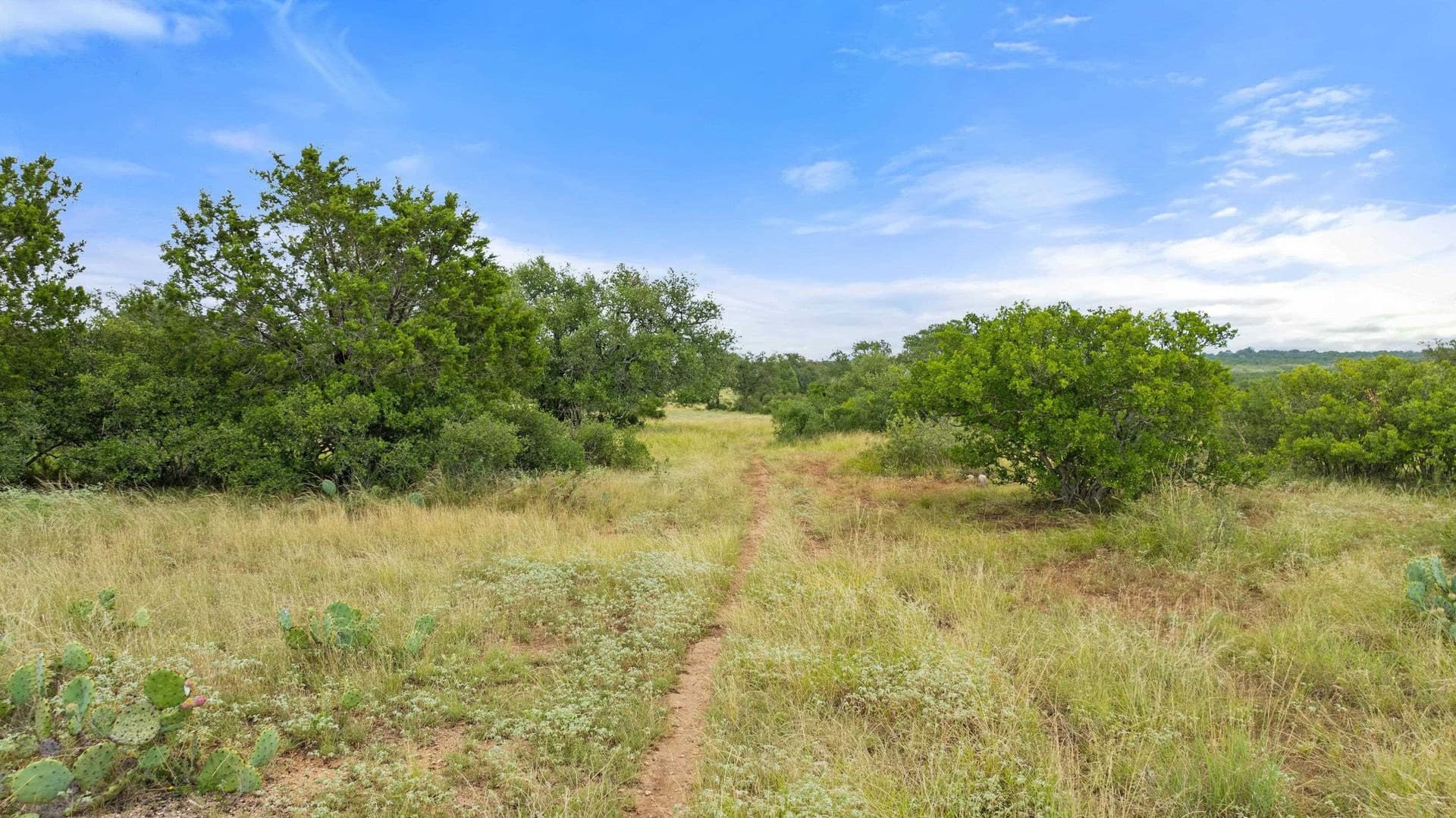 5 acres in Blanco County - photo 22