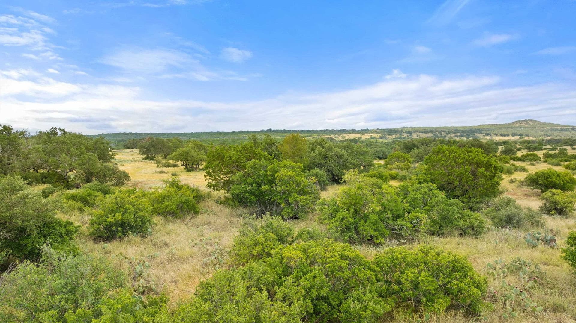 5 acres in Blanco County - photo 21