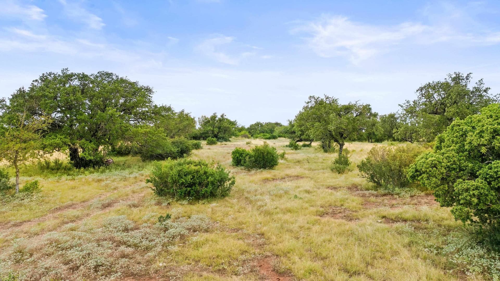 5 acres in Blanco County - photo 14