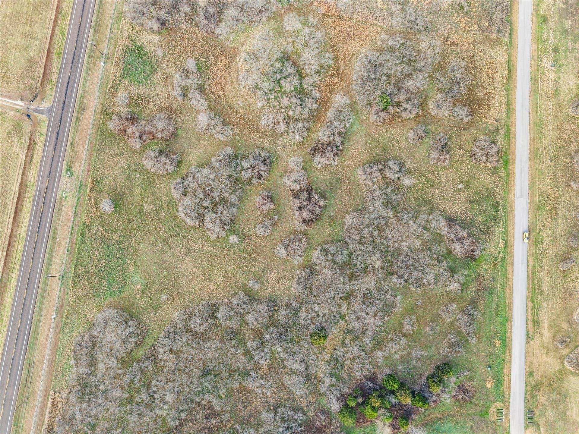 1.77 acres in Navarro County - photo 8