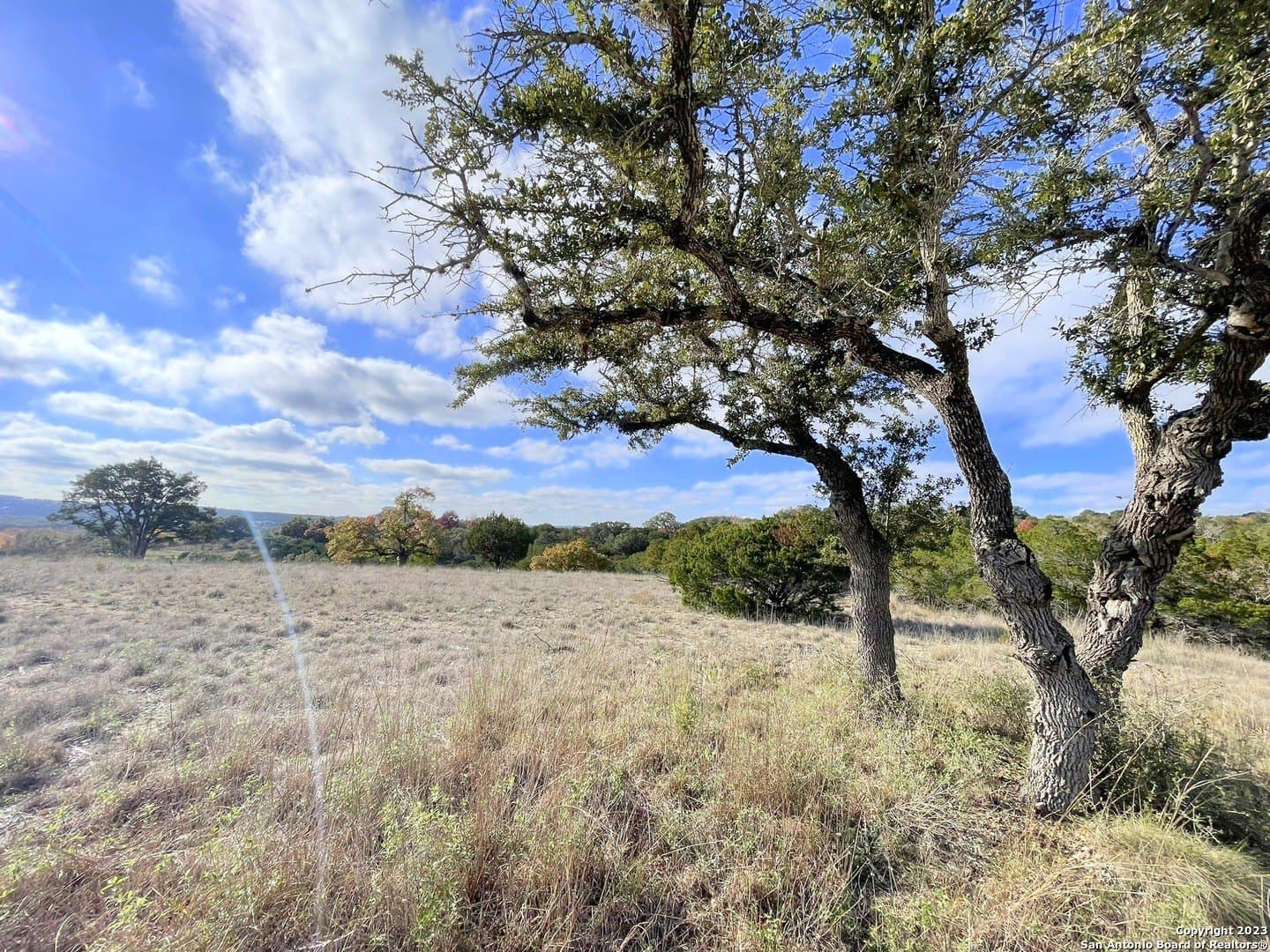 5.07 acres in Comal County gallery image 3