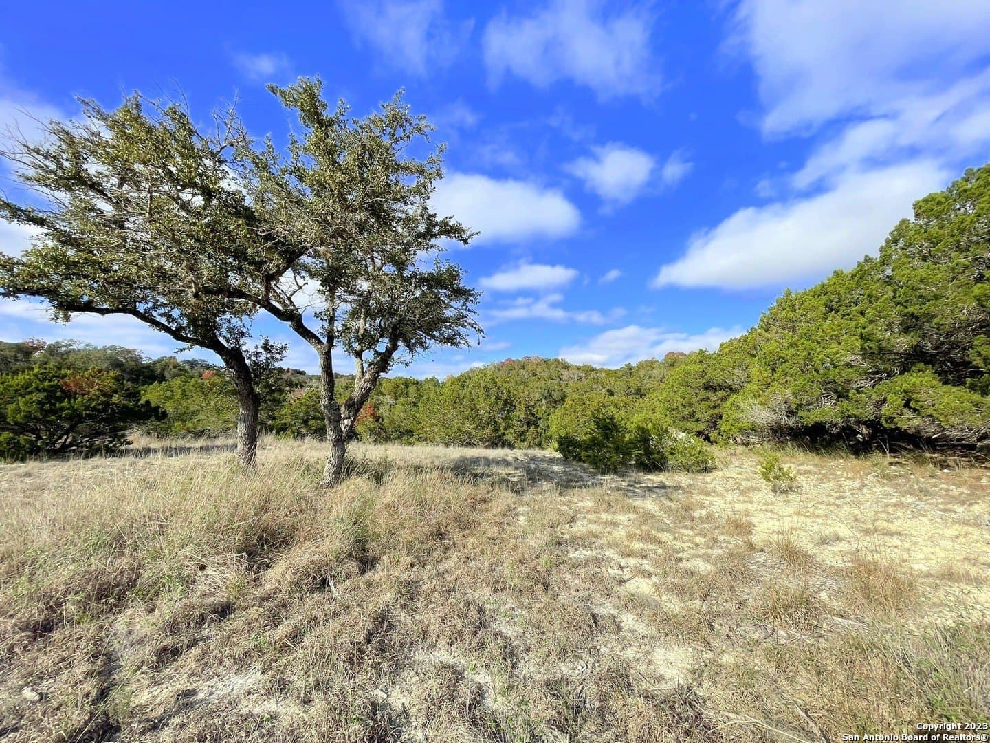 5.07 acres in Comal County - photo 13