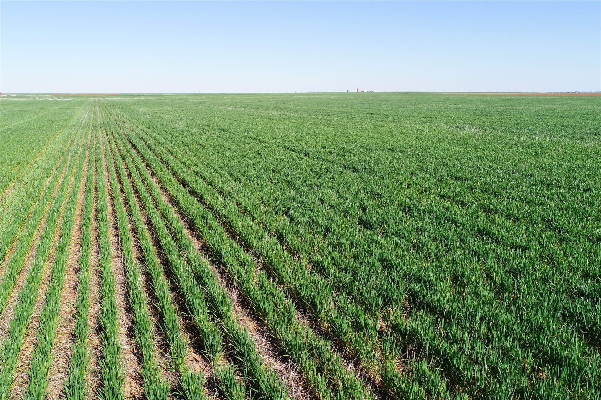 120 acres in Wilbarger County gallery image 3