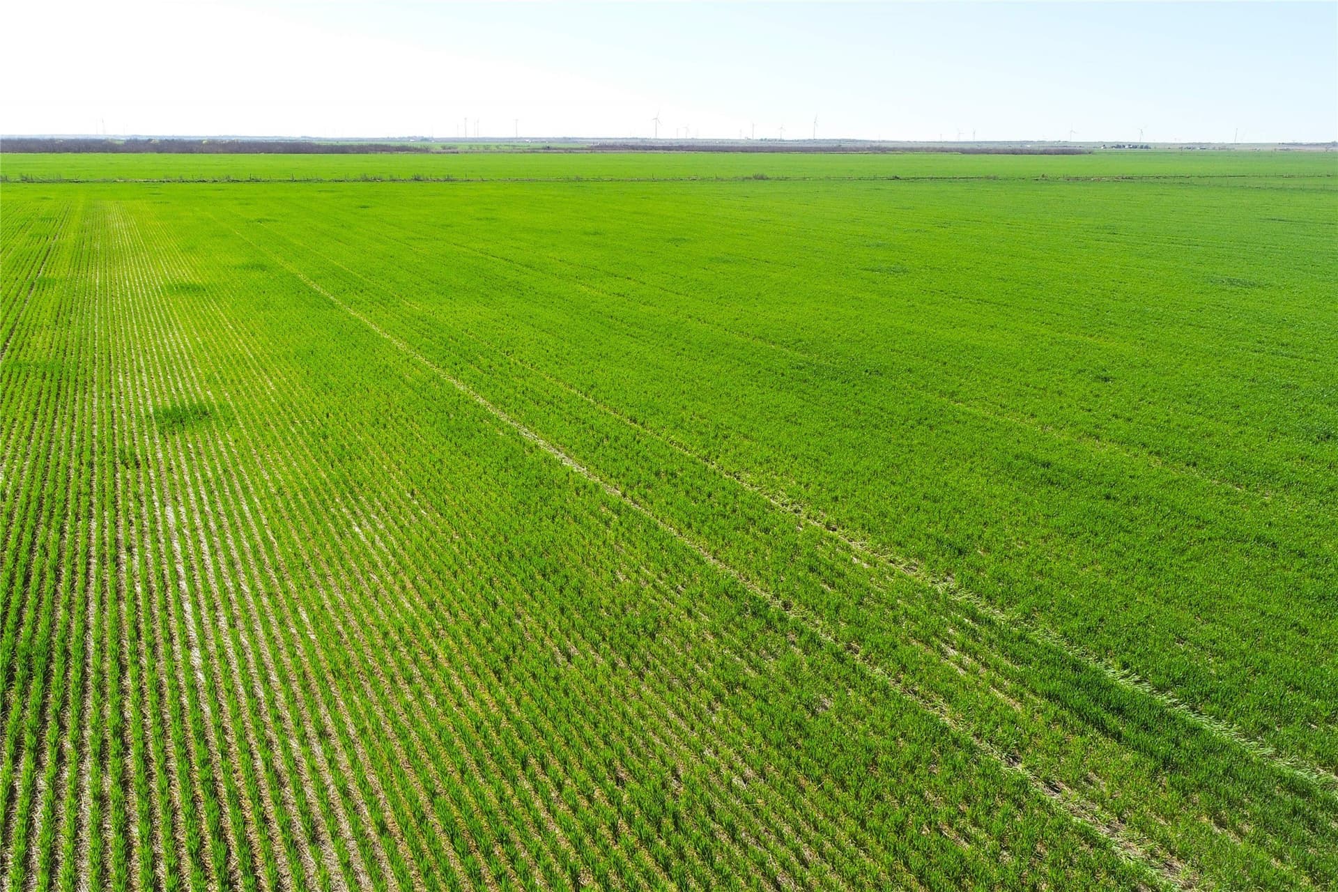 120 acres in Wilbarger County gallery image 2