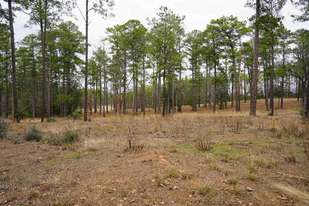 1 acres in Texas County featured view
