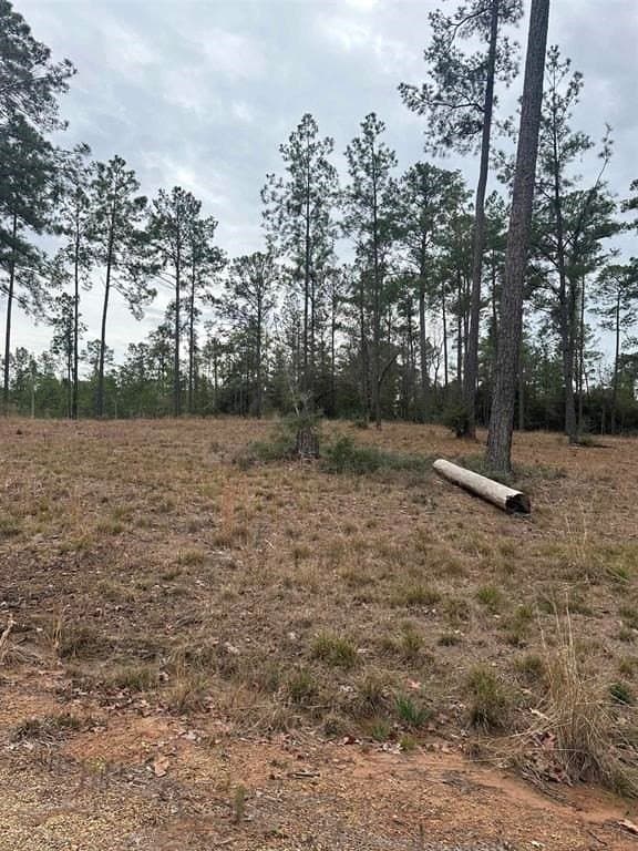 1 acres in Texas County gallery image 4