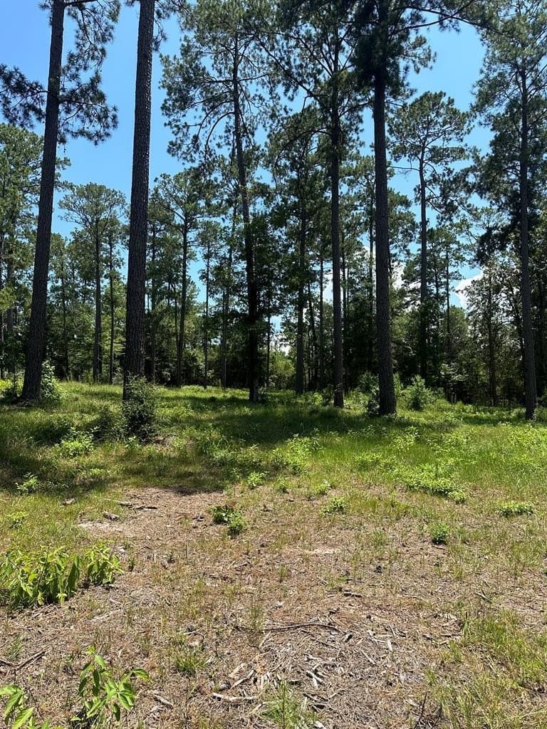 1 acres in Texas County