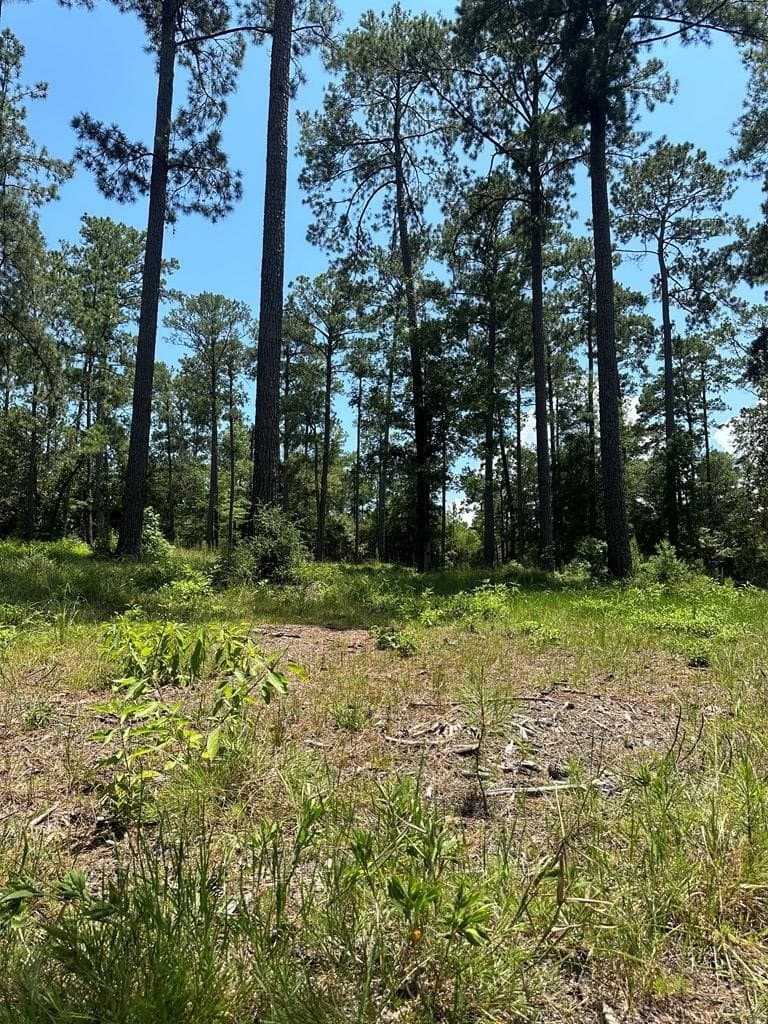 1 acres in Texas County gallery image 2