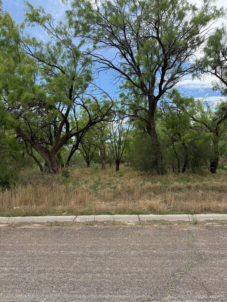 0.28 acres in Howard County gallery image 2