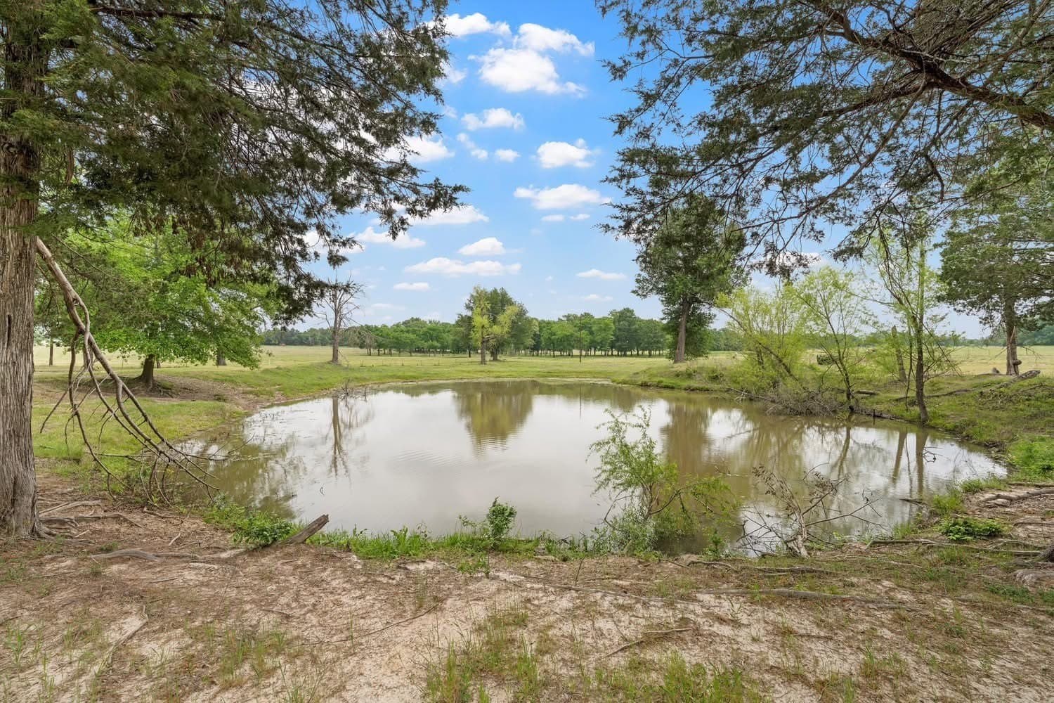 30.35 acres in Limestone County - photo 34