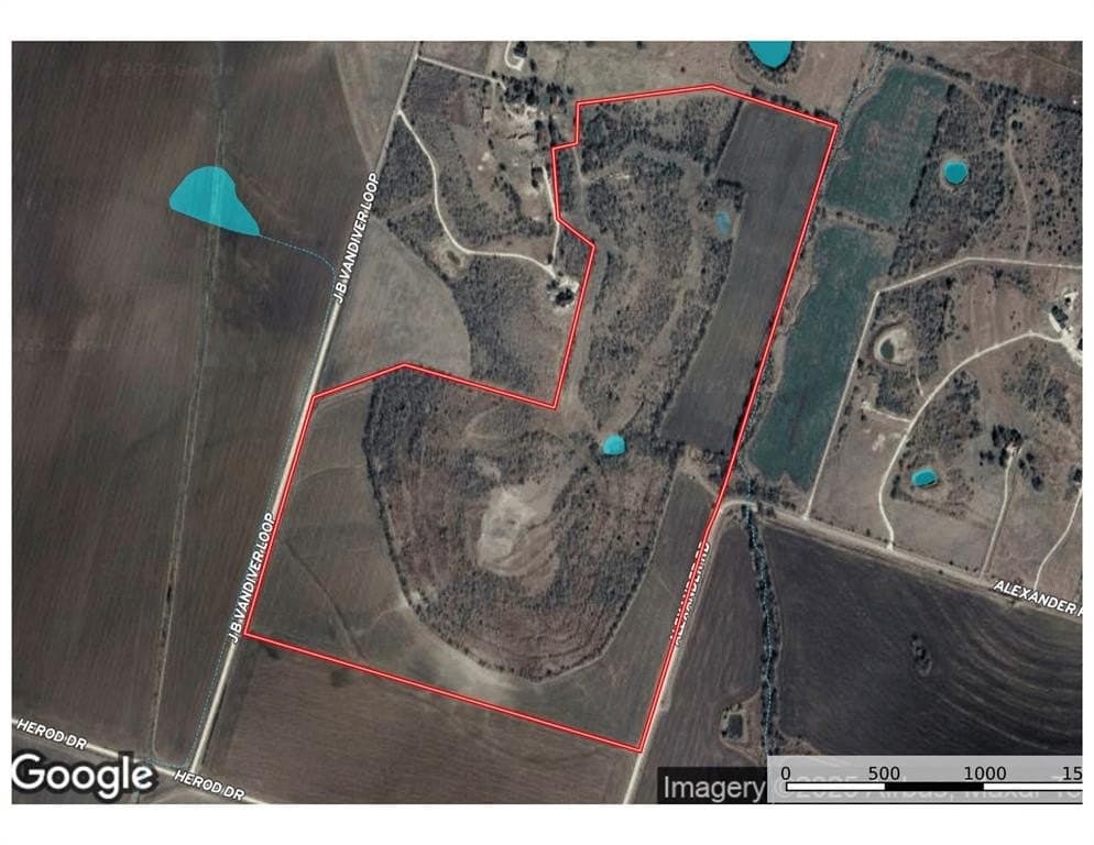 113 acres in McLennan County gallery image 3