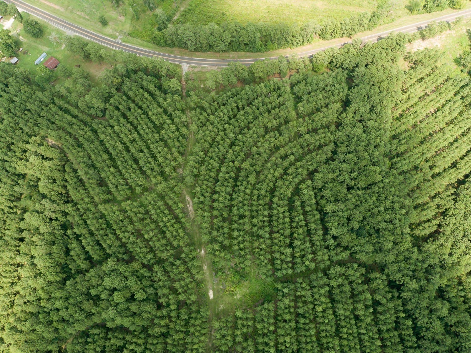 61.19 acres in Polk County - photo 9