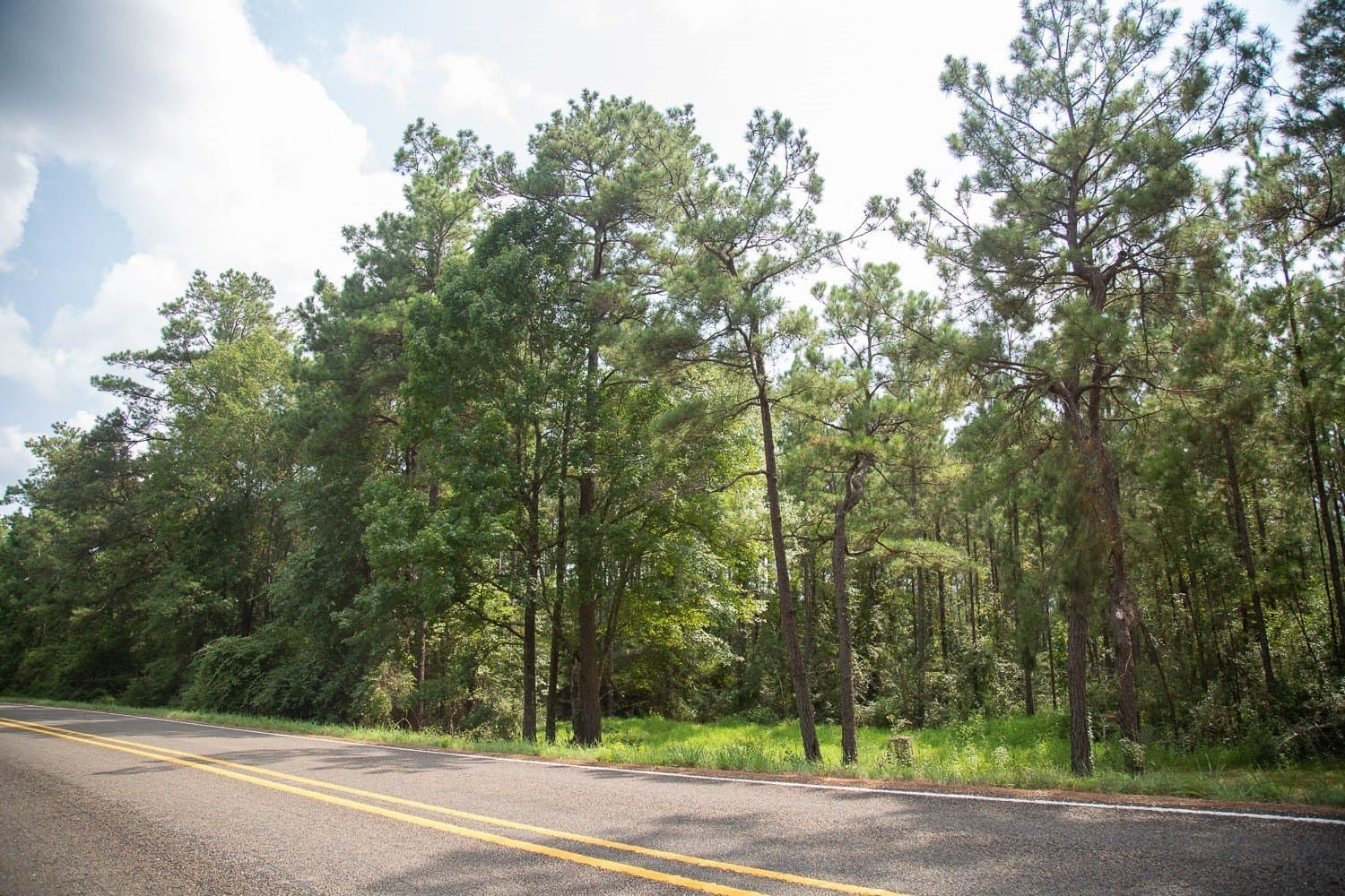61.19 acres in Polk County - photo 8