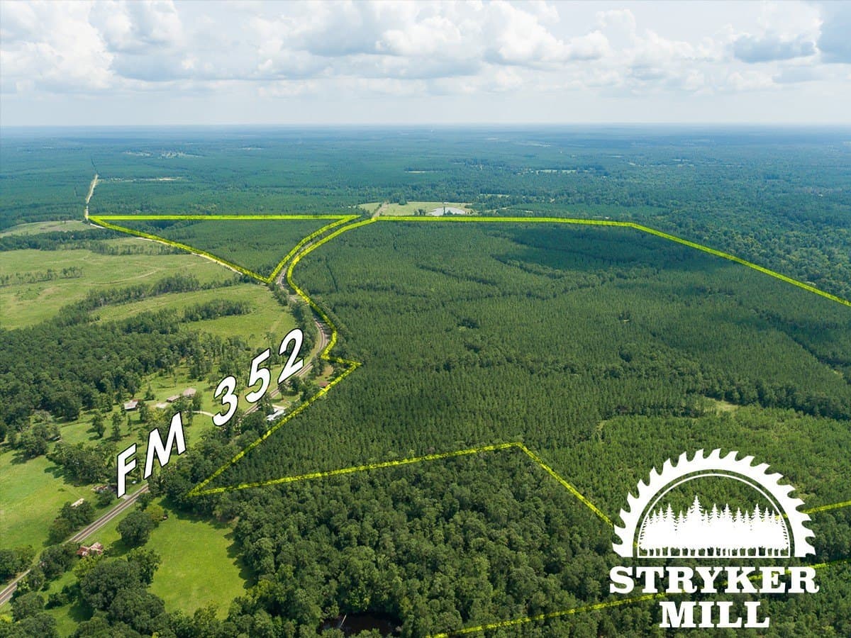 61.19 acres in Polk County gallery image 2