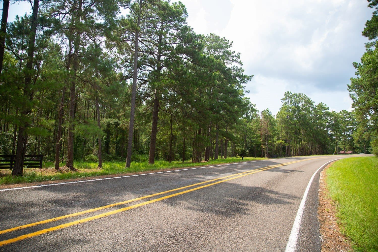61.19 acres in Polk County - photo 7