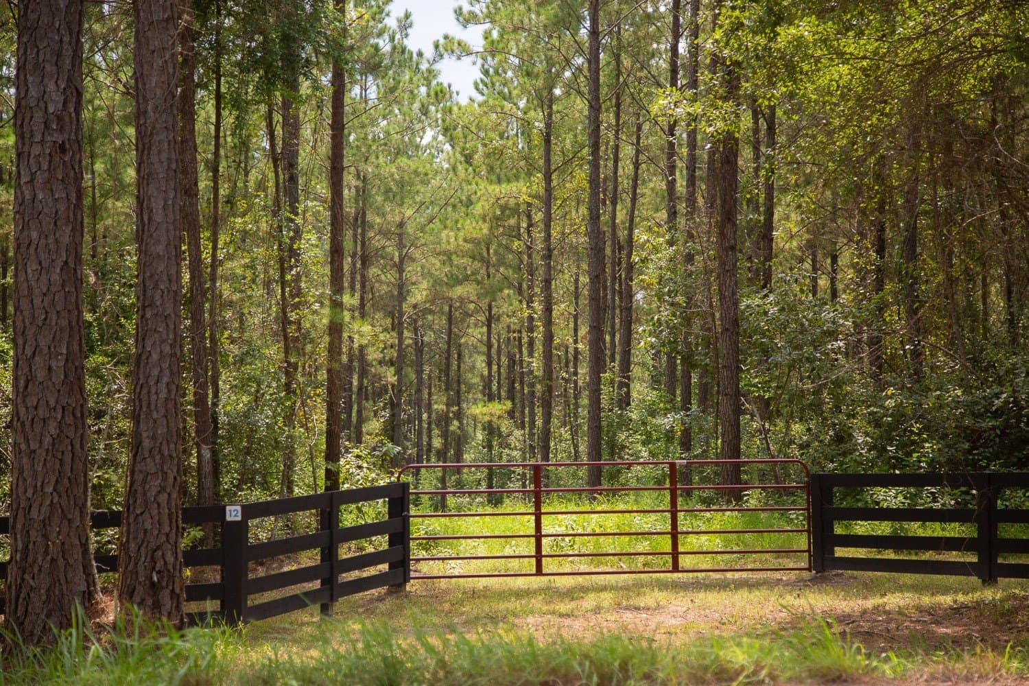 61.19 acres in Polk County - photo 6