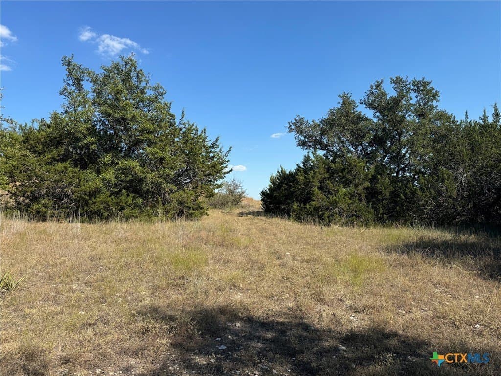 1.8 acres in Bell County - photo 6