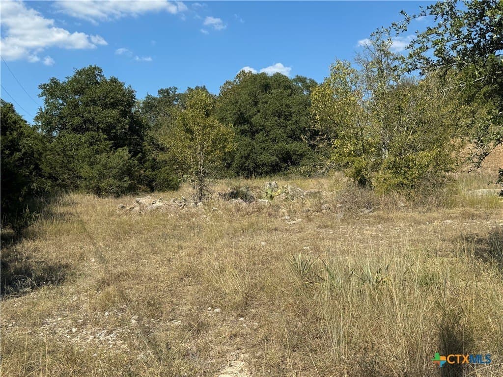 1.8 acres in Bell County - photo 7