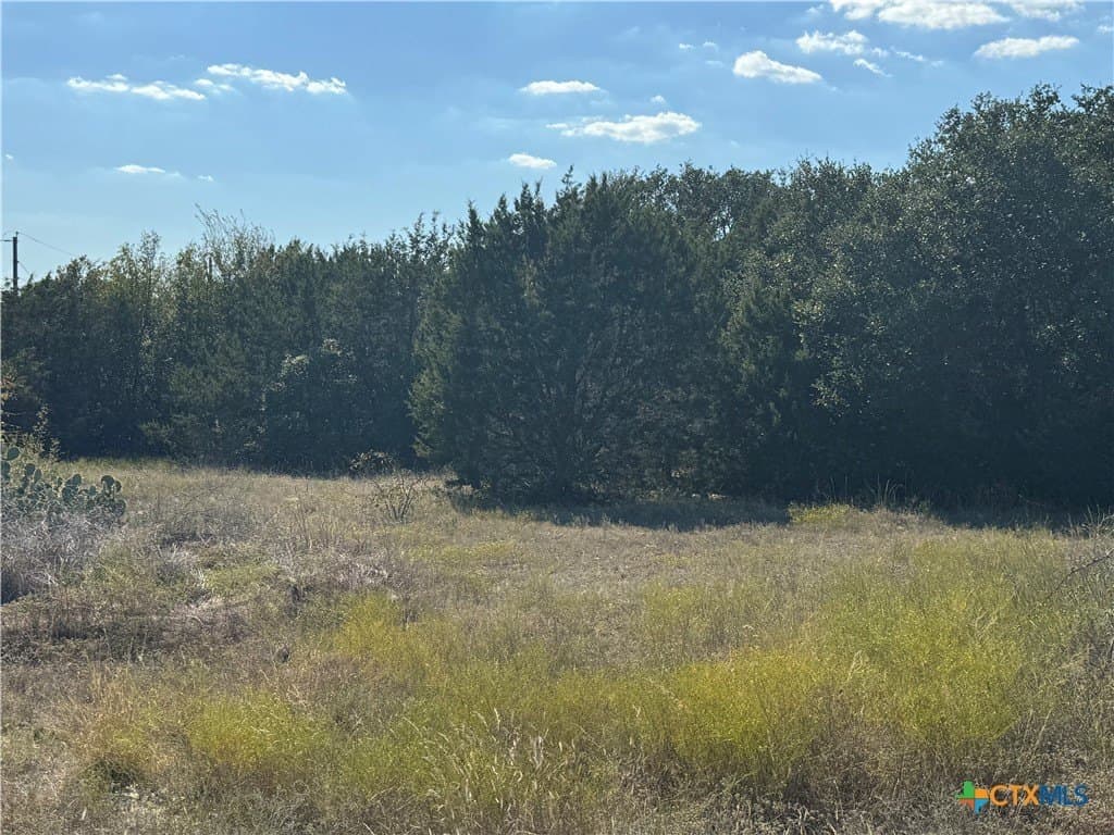 1.8 acres in Bell County - photo 9