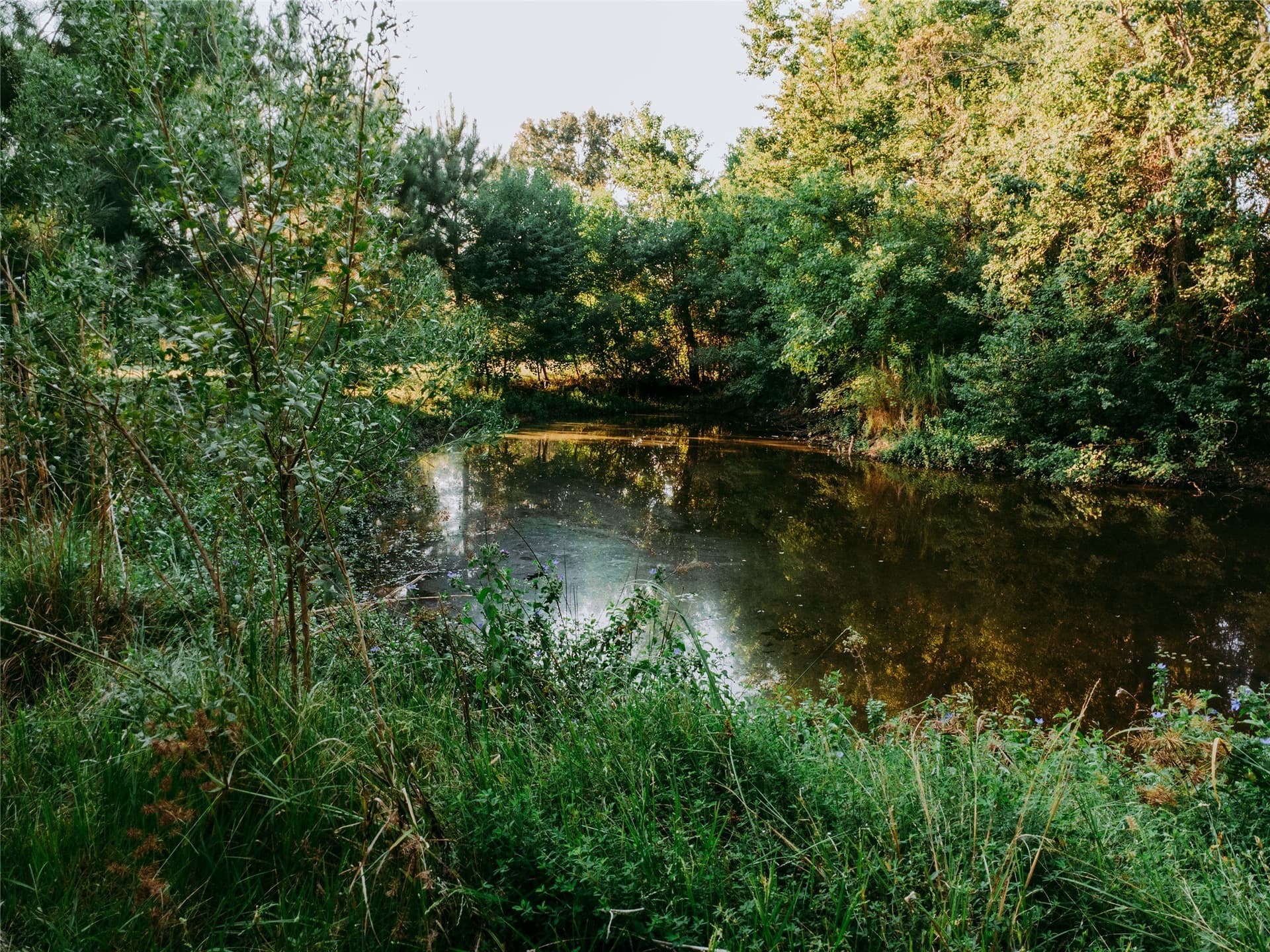 10 acres in Cherokee County - photo 4