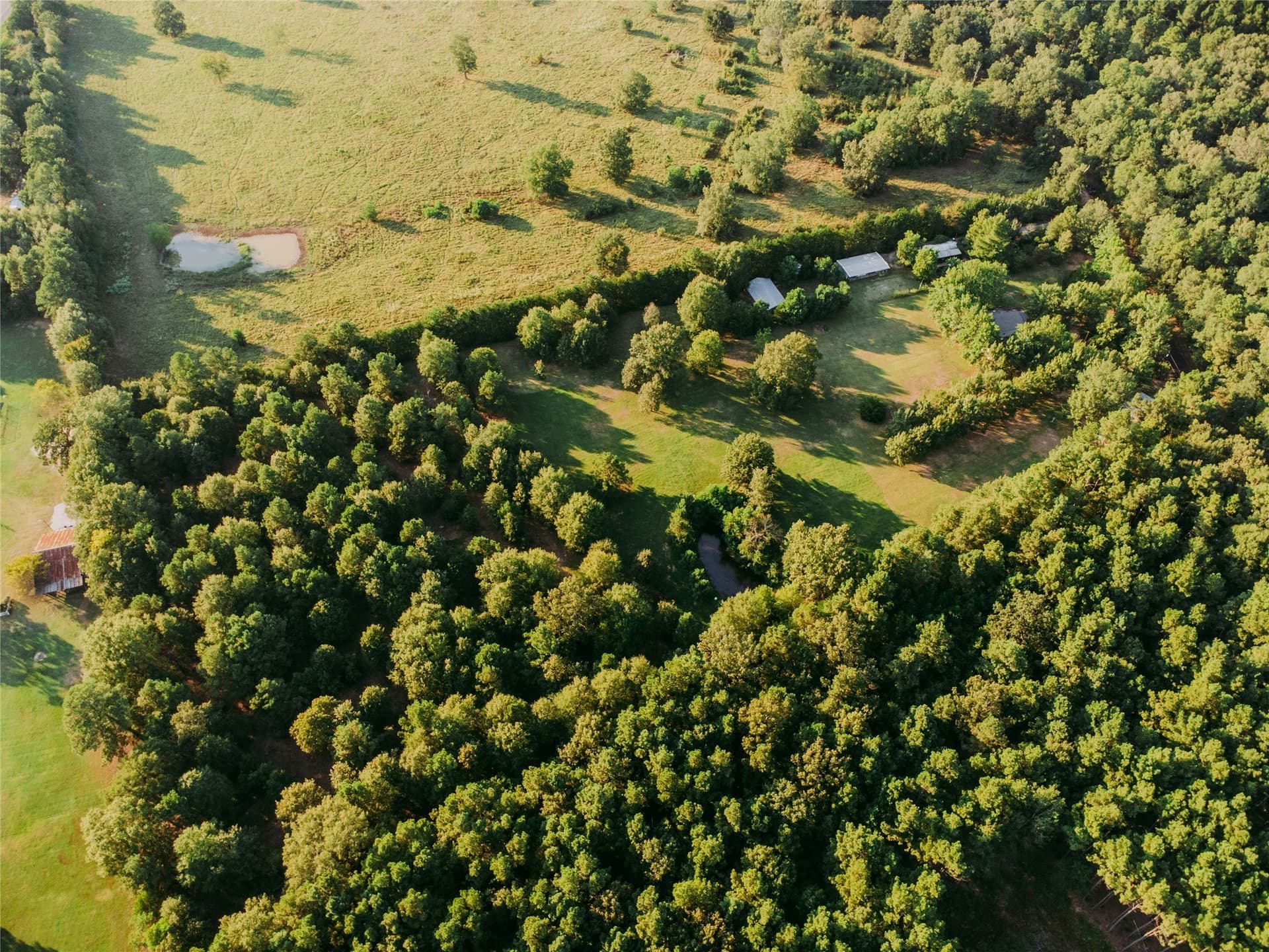 10 acres in Cherokee County - photo 2