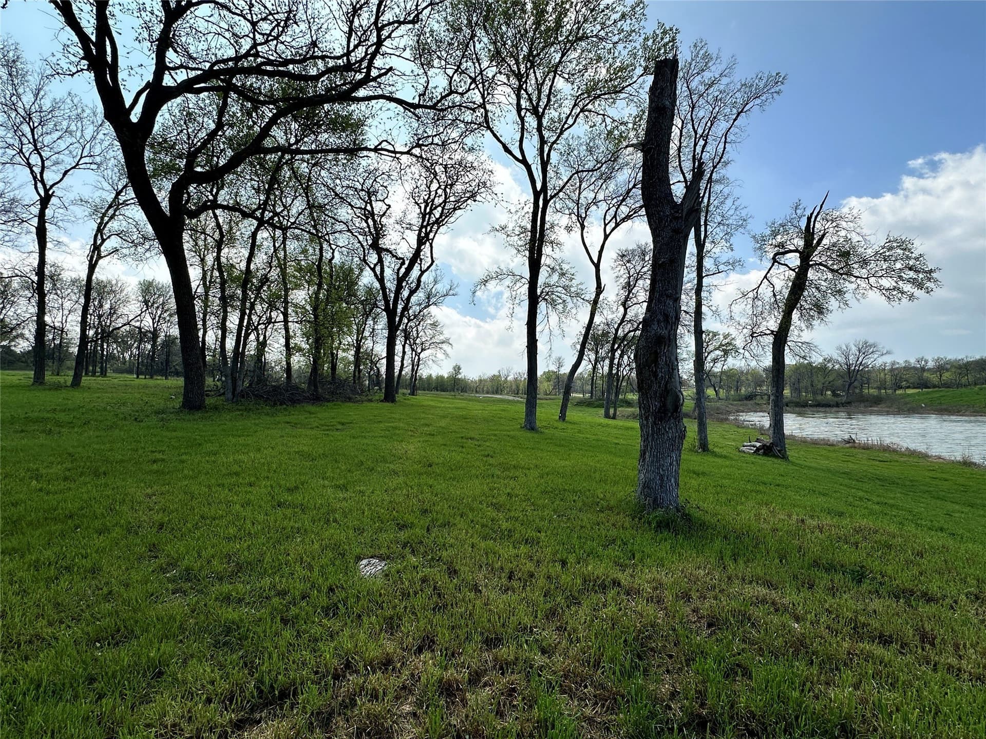1.17 acres in Navarro County - photo 23