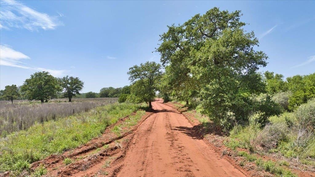 524.38 acres in Mason County gallery image 4