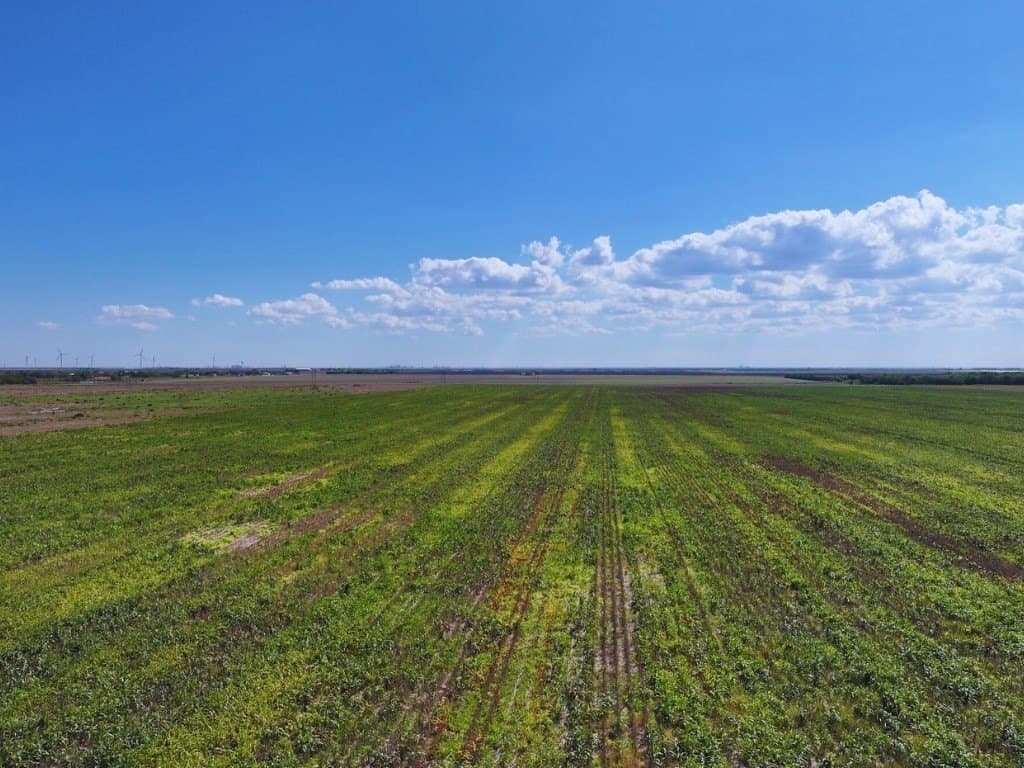 69 acres in San Patricio County featured view