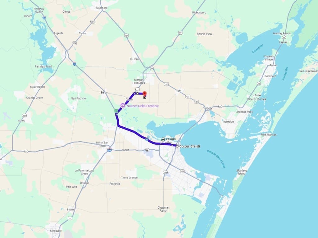58 acres in San Patricio County - photo 6