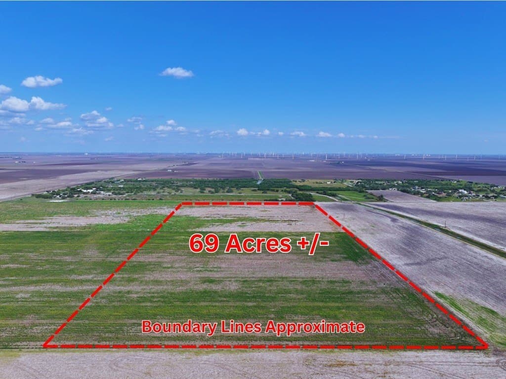 69 acres in San Patricio County gallery image 2