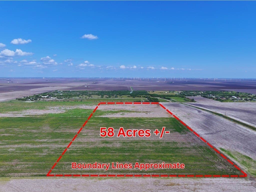 58 acres in San Patricio County gallery image 2