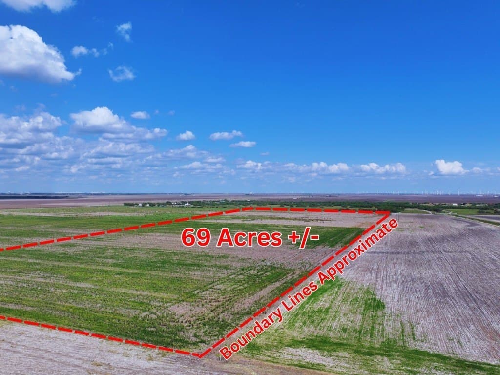 69 acres in San Patricio County gallery image 3