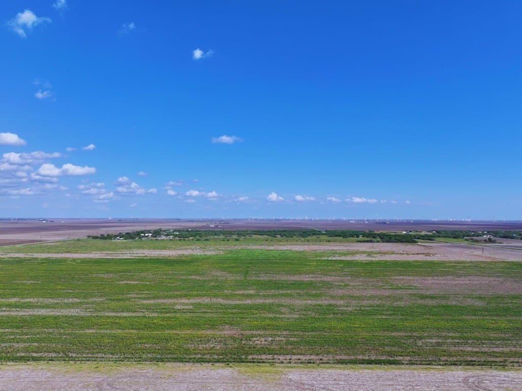 58 acres in San Patricio County gallery image 4