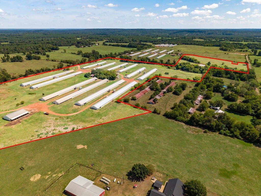 62 acres in Texas County - photo 6