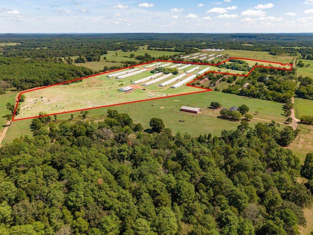 62 acres in Texas County - photo 5