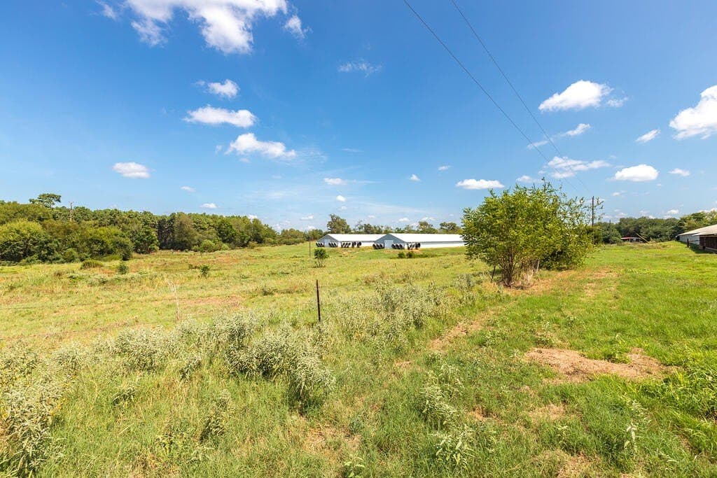 62 acres in Texas County - photo 16