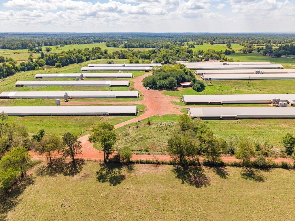 62 acres in Texas County - photo 13