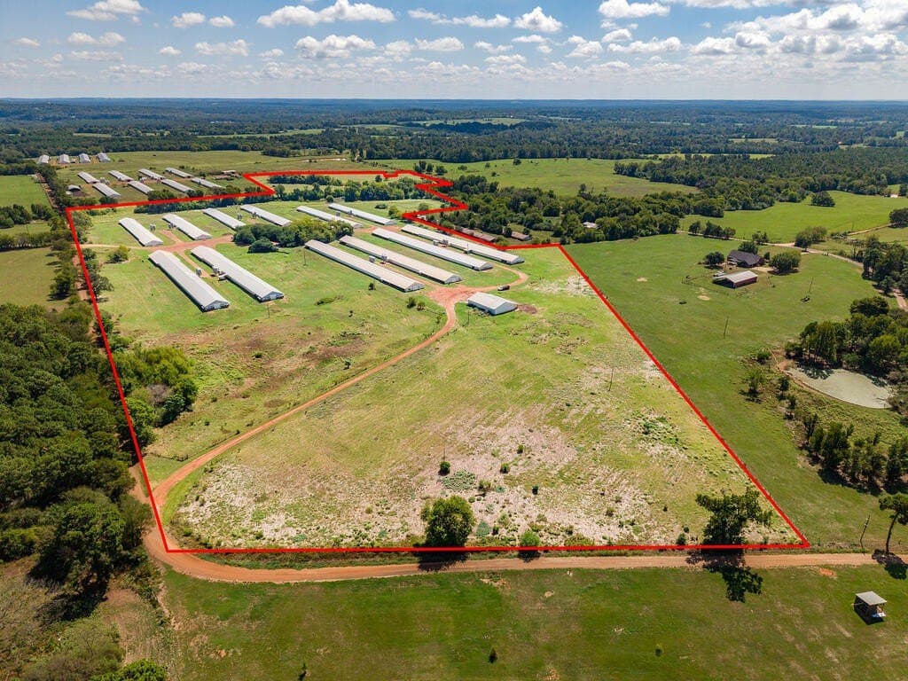 62 acres in Texas County - photo 4