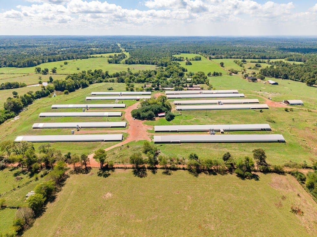 62 acres in Texas County - photo 3