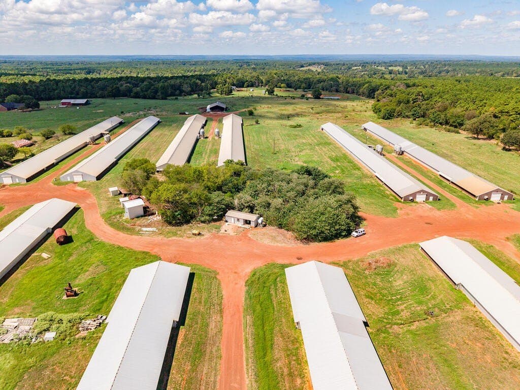 62 acres in Texas County - photo 14
