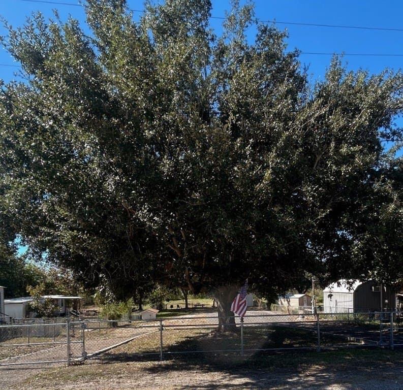 0.22 acres in San Patricio County gallery image 2