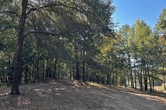 18 acres in Franklin (TX) County gallery image 3